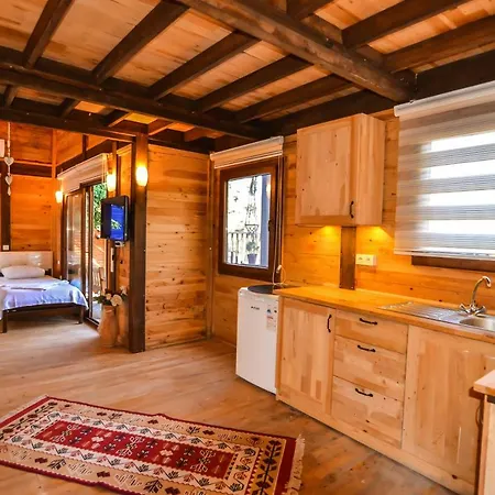 Baharoglu Life House Faralya Mugla