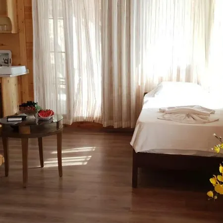 Baharoglu Life House Faralya بيت خشبي *