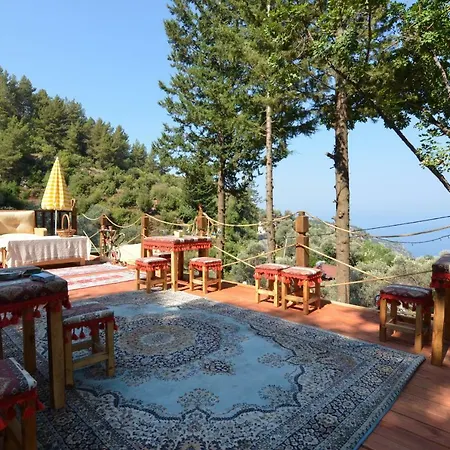 Baharoglu Life House Faralya بيت خشبي *