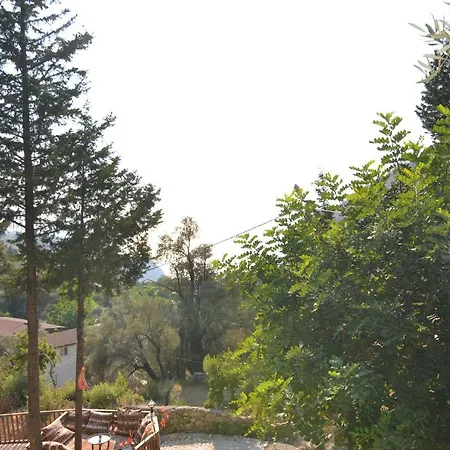 Baharoglu Life House Faralya بيت خشبي *