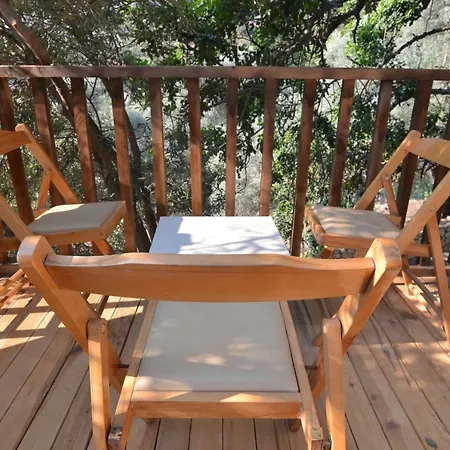 Baharoglu Life House Faralya * موجلا