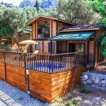 Baharoglu Life House Faralya بيت خشبي موجلا