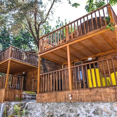 Baharoglu Life House Faralya موجلا